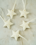 Set of 5 - Scented Decorations/Wax Melts