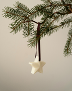 Set of 5 - Scented Decorations/Wax Melts