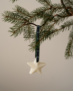 Set of 5 - Scented Decorations/Wax Melts