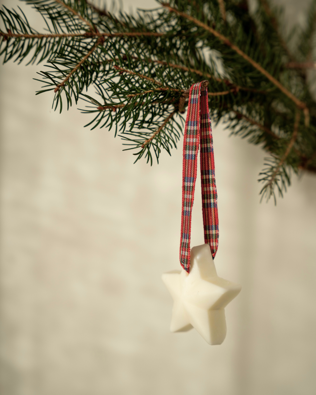 Set of 3 - Scented Decorations/Wax Melts