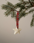 Set of 5 - Scented Decorations/Wax Melts