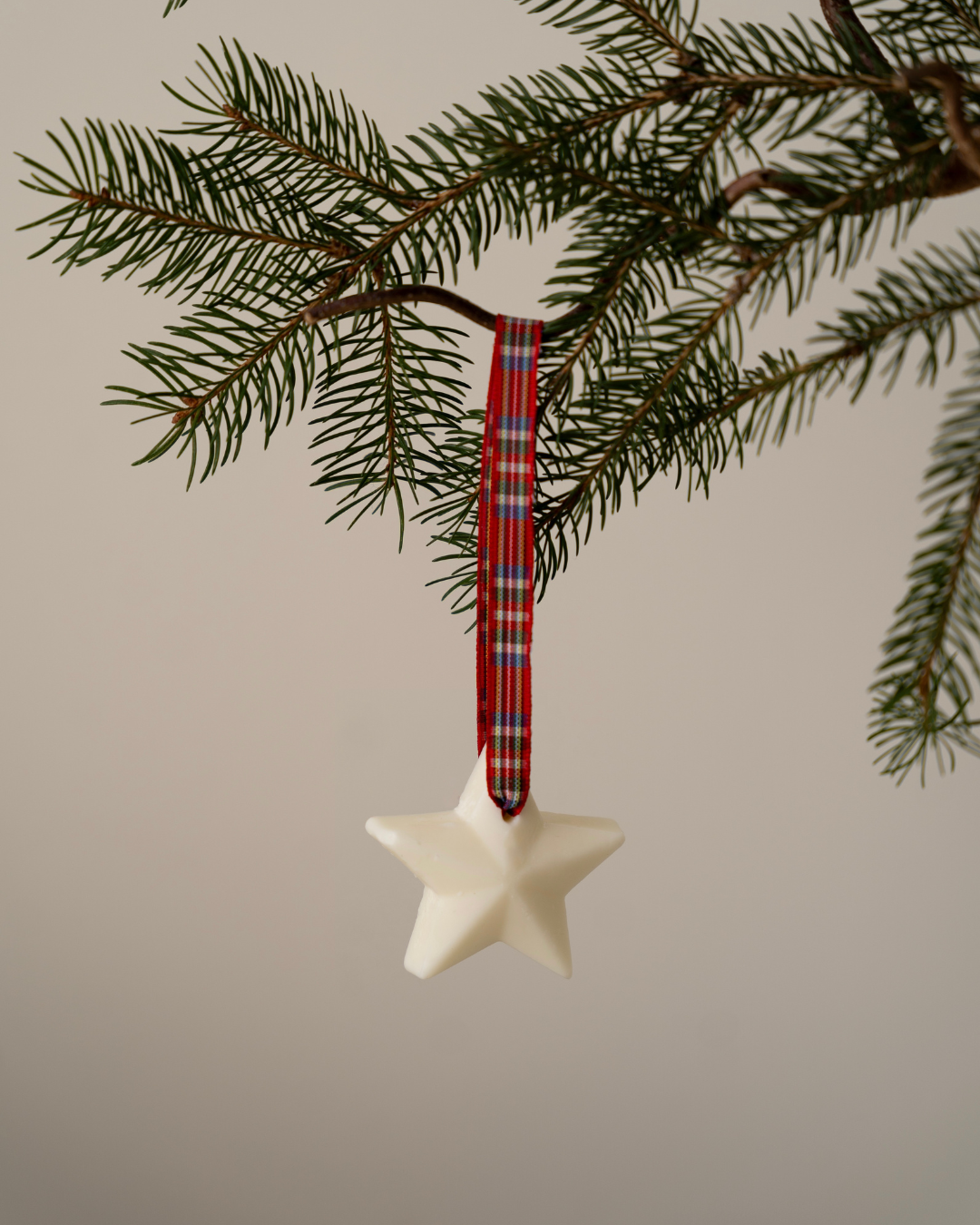 Set of 5 - Scented Decorations/Wax Melts