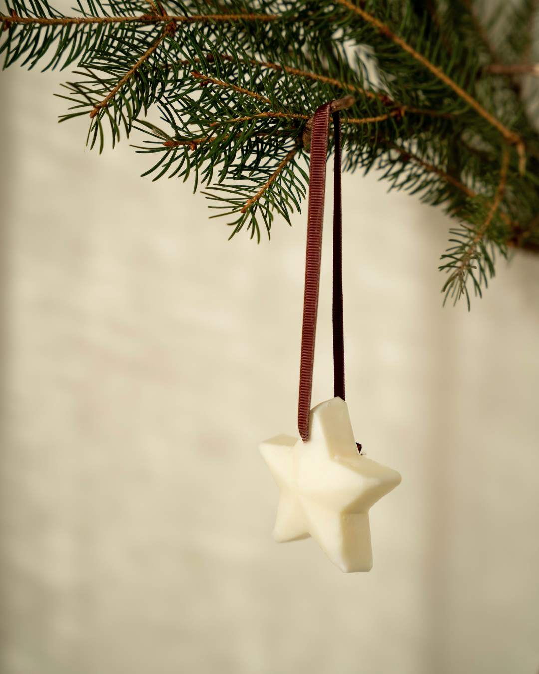 Set of 3 - Scented Decorations/Wax Melts