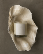Natural Isle  Candle in a glass container inside a large shell on a textured surface