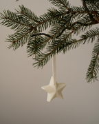 Set of 5 - Scented Decorations/Wax Melts