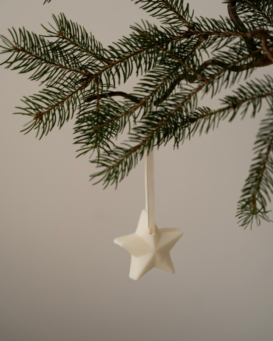 Set of 5 - Scented Decorations/Wax Melts